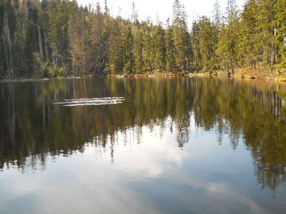 Prášilské jezero (ledovcové)