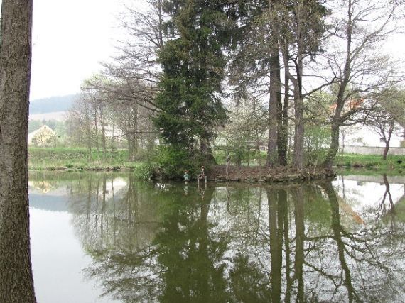 rybník Svojšice