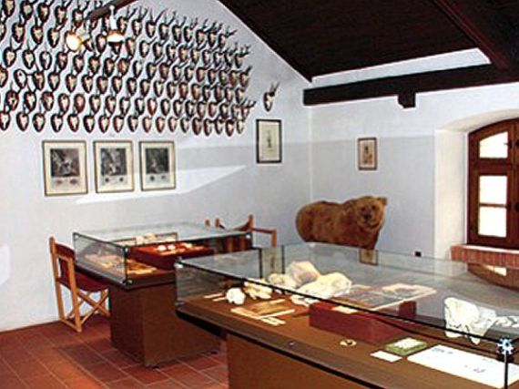 muzeum lovectví a zvěře na hradě Falkenstein (D)
