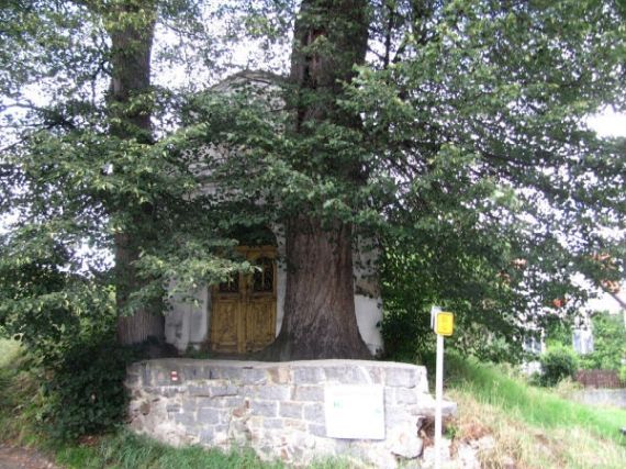 kaple sv. Antonína, Sušice