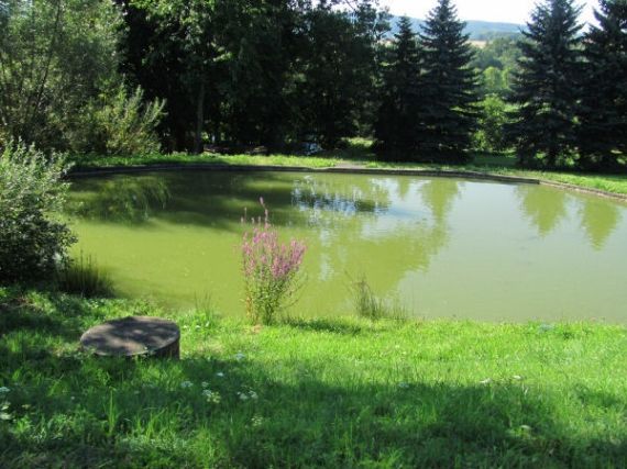 rybník Pařezov