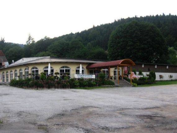 muzeum vycpaných zvířat - Tiermuseum Pfeiffer - Regenhütte (D)