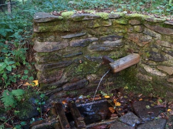 studánka V lipách, Hamry