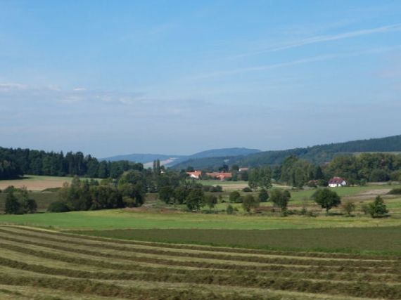 Třebýcina