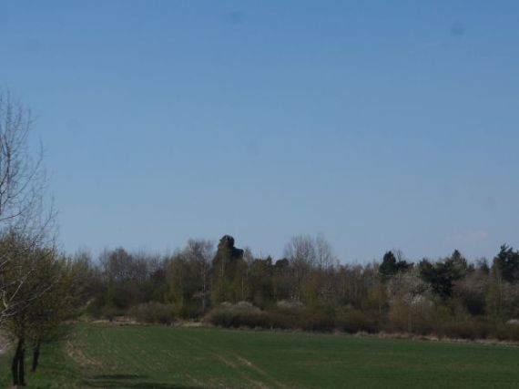 skála Ostrá Hůrka, Plzeň