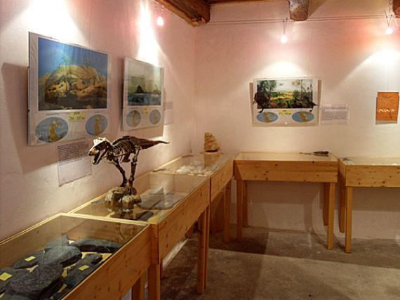 muzeum fosílií Roseč