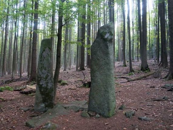 Menhir Dva bratři, Javorník