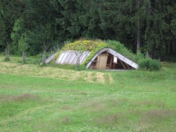 Wildniscamp am Falkenstein (D)