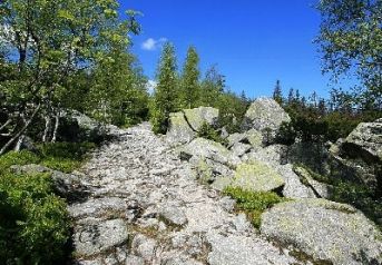 Kamenné moře, Plešné jezero