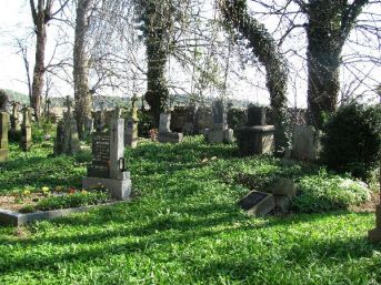 hřbitov Nicov u Plánice