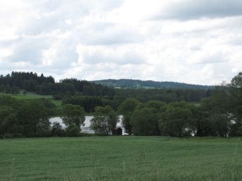 Mlýnský rybník, Ujčín