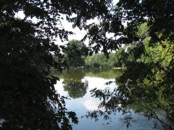 rybník Horní Rokos, Měcholupy