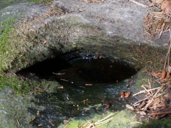 studánka Panny Marie Klatovské, Čeletice