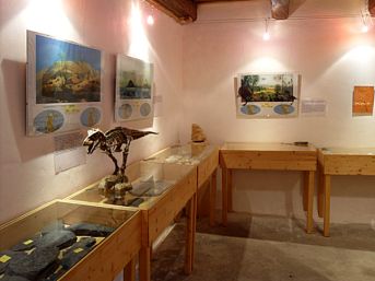 muzeum fosílií Roseč