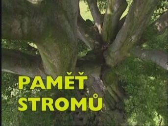 Paměť stromů - 12. díl - Římov