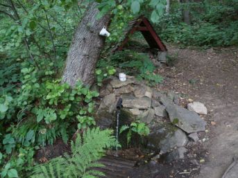 studánka U Scheinostovo zátiší