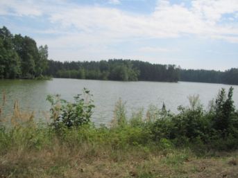 rybník Nový Kanclíř