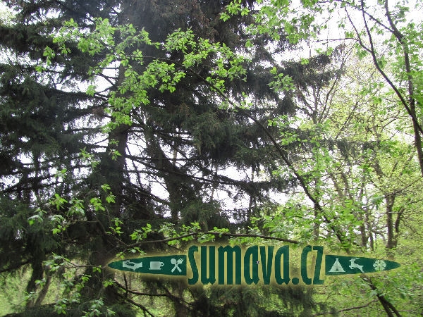 Americká zahrada Chudenice