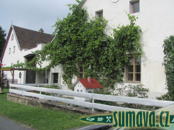 Bílá