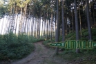 přírodní rezervace Borek u Velhartic