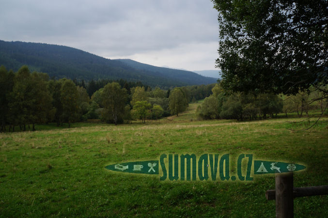 Brčálník