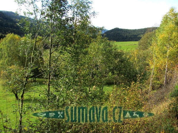 Brčálník