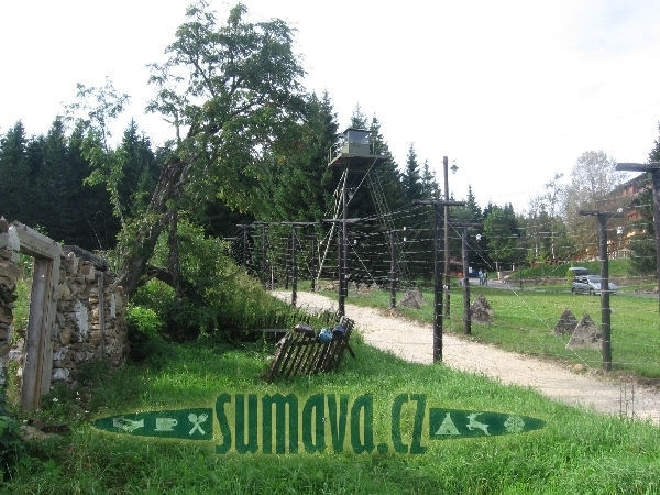Bučina