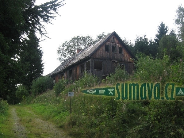 Bučina