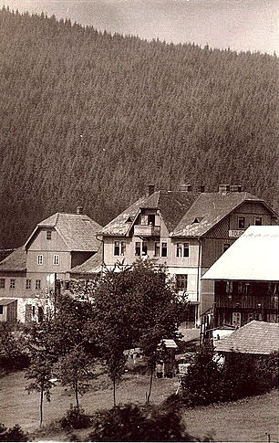 Bučina (historické)
