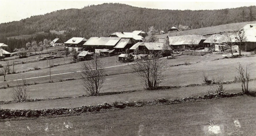 Bučina (historické)