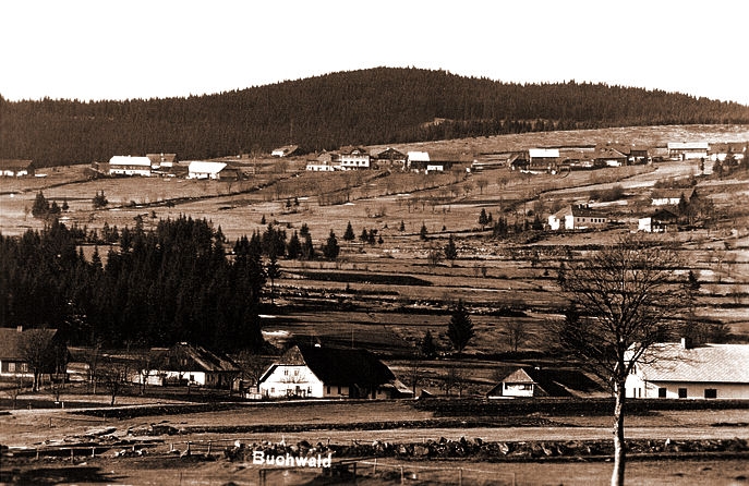 Bučina (historické)