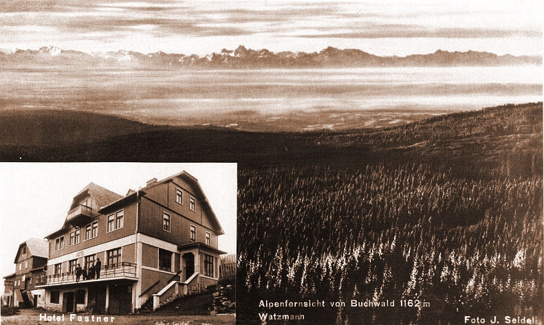 Bučina (historické)