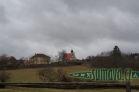 Bukovník