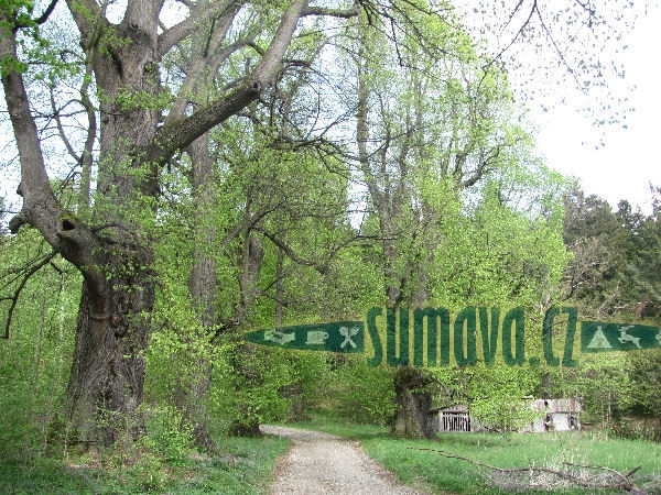 Dolejší Krušec