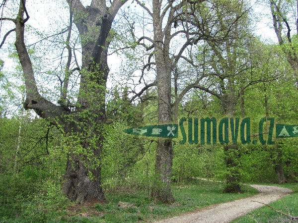 Dolejší Krušec