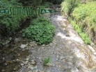 řeka Losenice