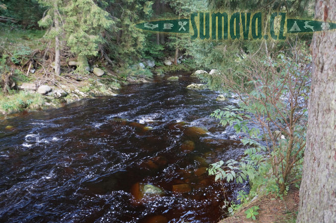 řeka Vydra