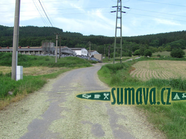 Černé Krávy