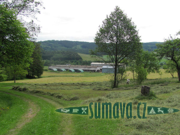Černé Krávy