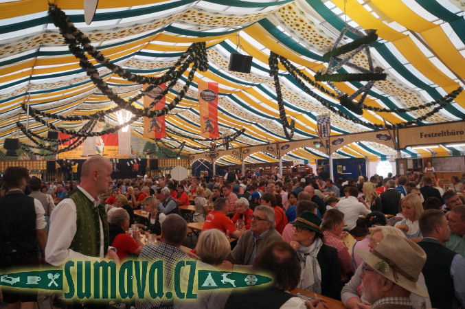 Grenzlandfest Zwiesel 2017 (D)