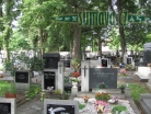 hřbitov Týn nad Vltavou