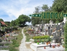 hřbitov Vlachovo Březí
