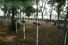 hřbitov vojenský Písek