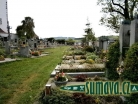 hřbitov Zdouň
