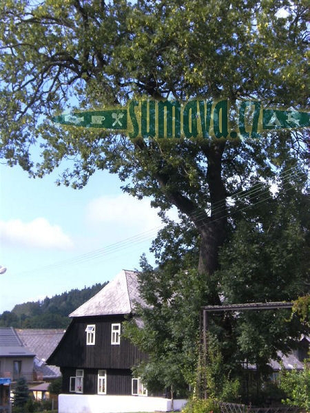 Hlavňovice