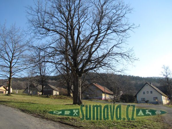 Horní Němčice