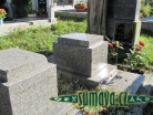 hrob Thomayerové
