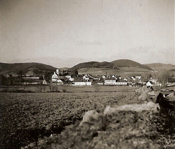 Žichovice (historické)