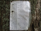 židovský hřbitov Hartmanice