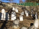 židovský hřbitov Kolinec